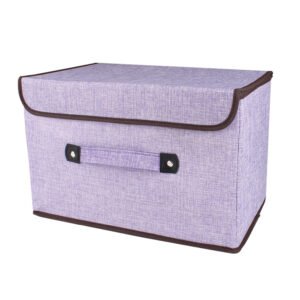 AD Bag Series - Foldable Storage Box (FBO337)