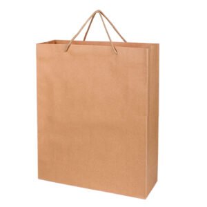 AD Paper Bag Series - Recycle Paper Bag (FPB962)