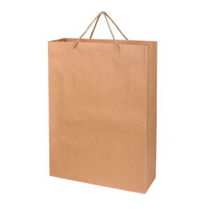 AD Paper Bag Series - Recycle Paper Bag (FPB963)