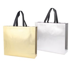AD Bag Series - Laminated Non Woven Bag (FWB5710-III)
